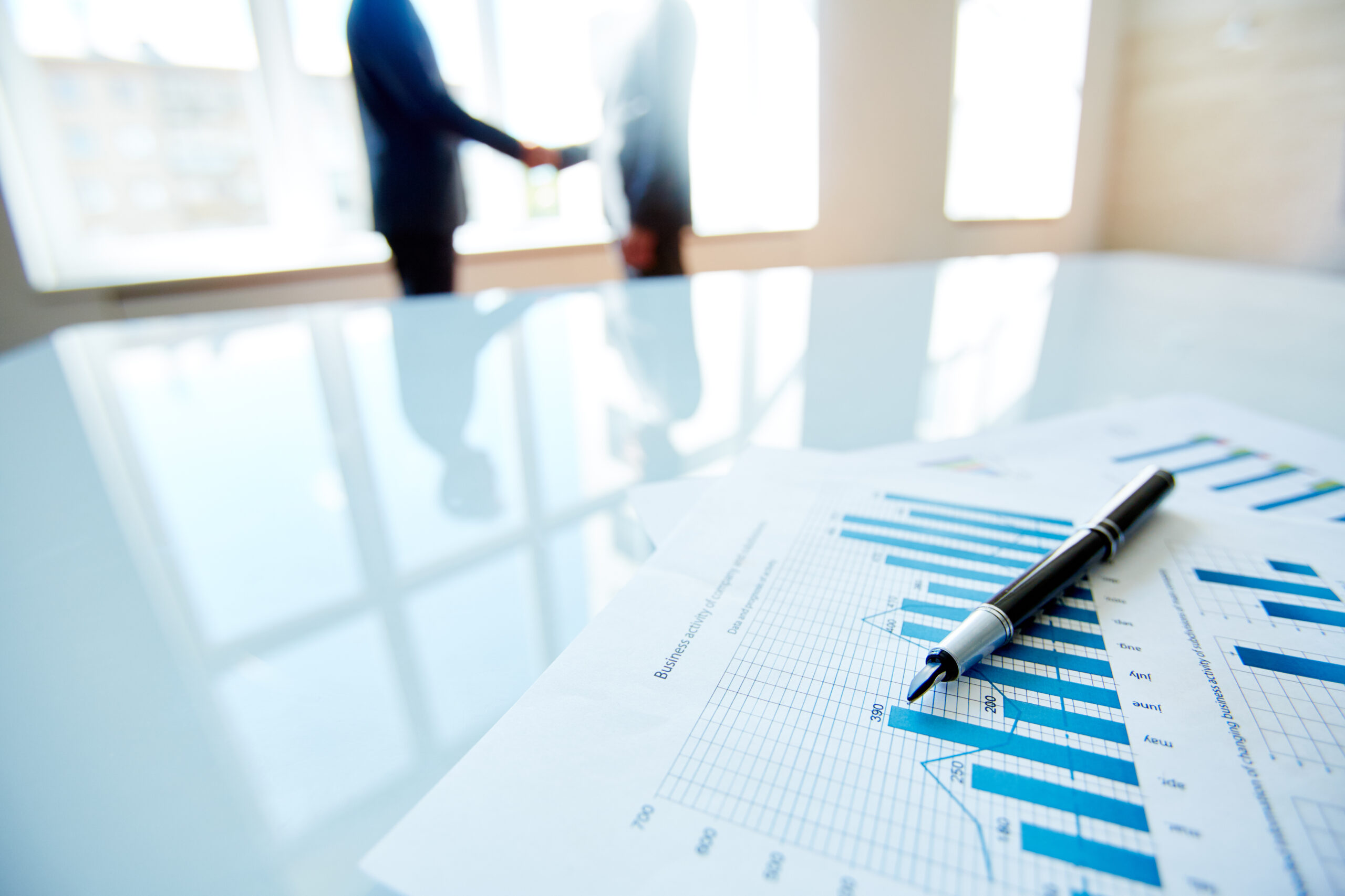 Director vs Shareholder | Understanding the Key Differences
